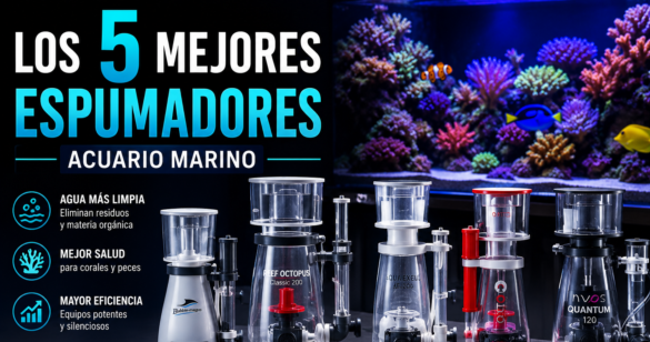 5 mejores skimmers