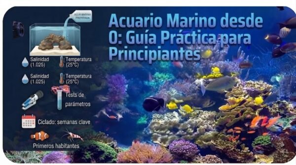 acuario marino desde 0